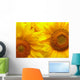 Sunflowers background Wall Mural