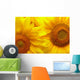 Sunflowers background Wall Mural