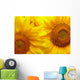 Sunflowers background Wall Mural