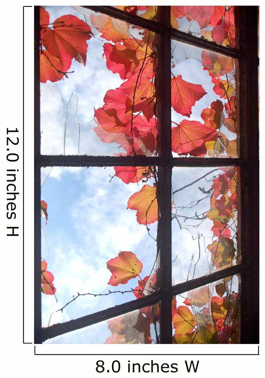 Autumnal window Wall Mural