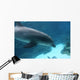 Dolphin Swimming2