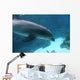 Dolphin Swimming2
