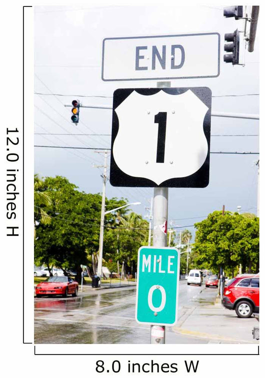 end of the road number 1, Key West, Florida, USA Wall Mural