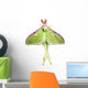 Luna Moth Wall Mural