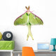 Luna Moth Wall Mural