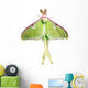Luna Moth Wall Mural