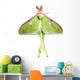 Luna Moth Wall Mural