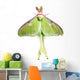 Luna Moth Wall Mural