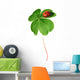 Clover leaf with ladybird Wall Decal
