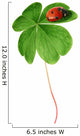Clover leaf with ladybird Wall Decal