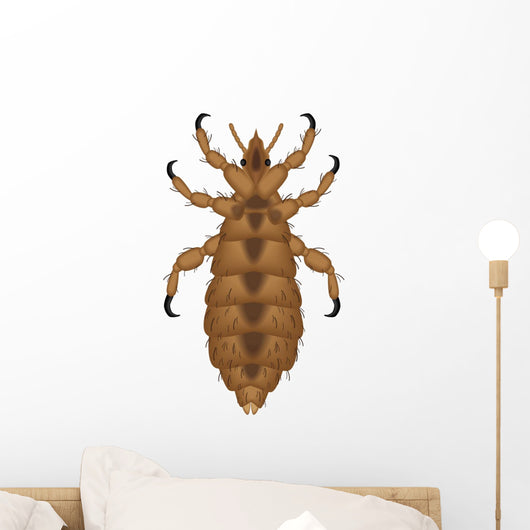 lice Wall Decal