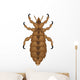 lice Wall Decal