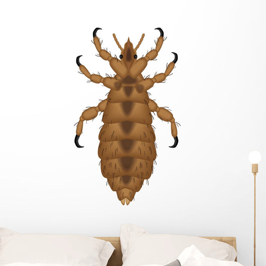 lice Wall Decal
