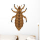 lice Wall Decal
