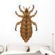 lice Wall Decal