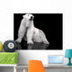 White Polar Bear Hunter - Sitting Wall Mural