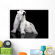 White Polar Bear Hunter - Sitting Wall Mural