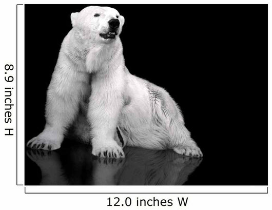 White Polar Bear Hunter - Sitting Wall Mural