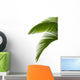 Green Palm Tree