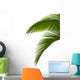 Green Palm Tree