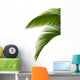 Green Palm Tree