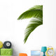 Green Palm Tree