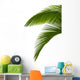 Green Palm Tree