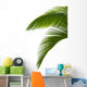 Green Palm Tree
