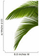Green Palm Tree