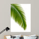 Green Palm Tree Wall Decal