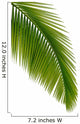 Green Palm Tree Wall Decal