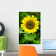 Flora-sunflower Helianthus Annuus Wall Decal