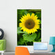 Flora-sunflower Helianthus Annuus Wall Decal
