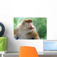 Proboscis Monkey Wall Mural