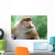 Proboscis Monkey Wall Mural