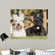 couple of Scottish terriers / scottish terrier Wall Mural
