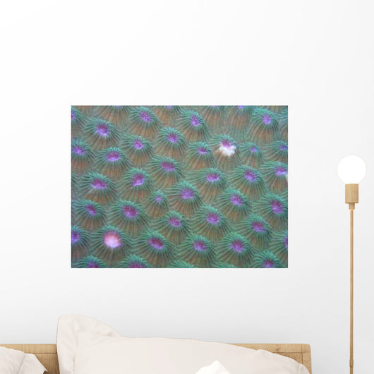 Korallenstruktur 2 Wall Decal