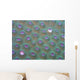 Korallenstruktur 2 Wall Decal