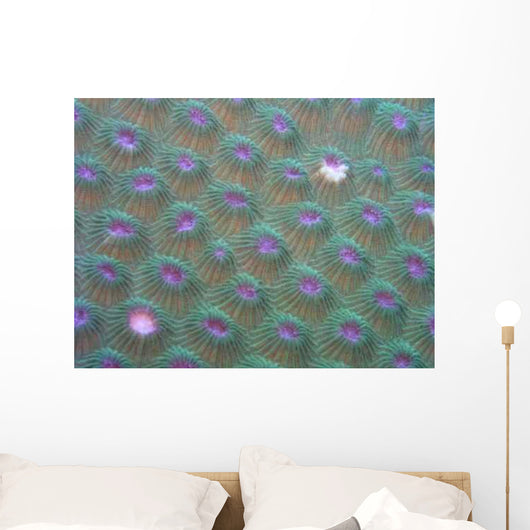 Korallenstruktur 2 Wall Decal