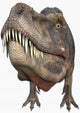 T-rex Dinosaurs Big Head