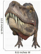 T-rex Dinosaurs Big Head