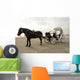Horse Drawn Carriage Wall Decal