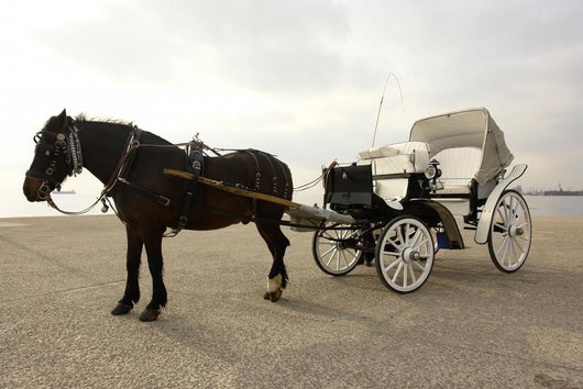 Horse Drawn Carriage Wall Decal