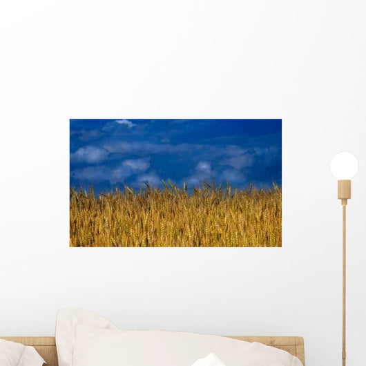 Nature Wheat Field Wall Decal