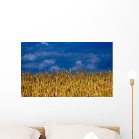 Nature Wheat Field Wall Decal