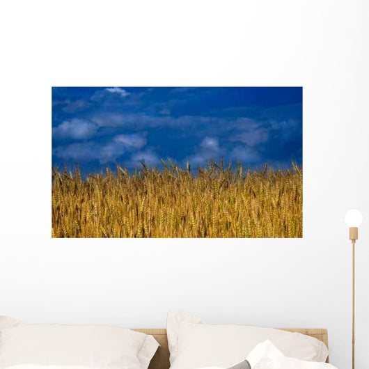 Nature Wheat Field Wall Decal