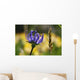 Phyteuma Wall Decal