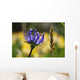 Phyteuma Wall Decal