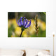 Phyteuma Wall Decal