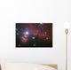 Nebular complex in Orion's Belt. Horse head, Flaming tree. Wall Mural